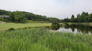 경기도 용인시 글렌로스GC 예약하기 코스 날씨 맛집 주차장 홈페이지 8 경기도 용인시 글렌로스GC 예약하기 코스 날씨 맛집 주차장 홈페이지