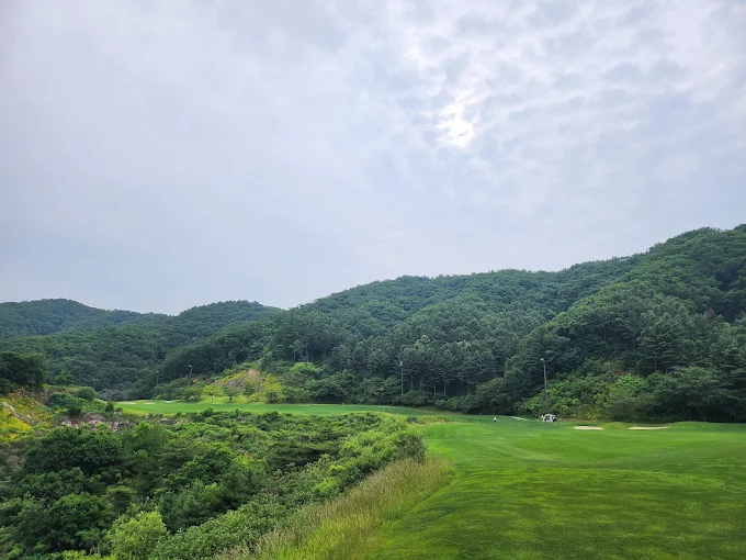 경기도 포천시 푸른솔GC 포천 예약하기 코스 날씨 맛집 주차장 홈페이지