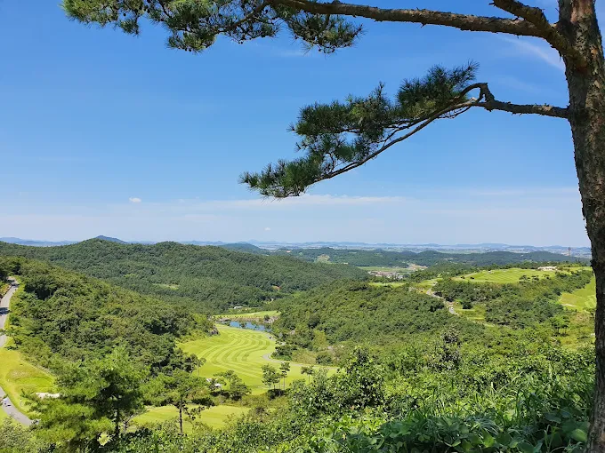 전남광주 장흥군 JNJ골프리조트 예약하기 코스 날씨 맛집 주차장 홈페이지