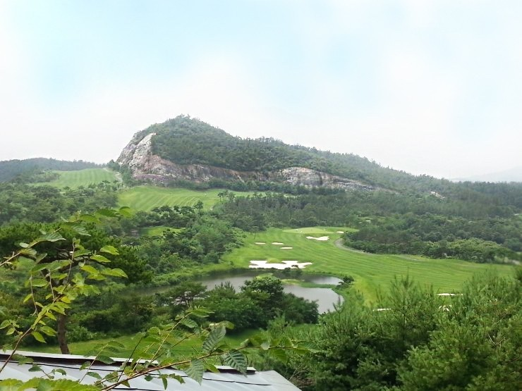 전남광주 함평군 함평엘리체CC 예약하기 코스 날씨 맛집 주차장 홈페이지 1 전남광주 함평군 함평엘리체CC 예약하기 코스 날씨 맛집 주차장 홈페이지