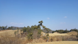 전남광주 보성군 보성에덴컨트리클럽 예약하기 코스 날씨 맛집 주차장 홈페이지 5 전남광주 보성군 보성에덴컨트리클럽 예약하기 코스 날씨 맛집 주차장 홈페이지