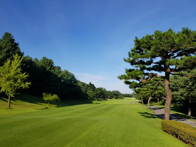 경기도 용인시 블루원 용인CC 예약하기 코스 날씨 맛집 주차장 홈페이지